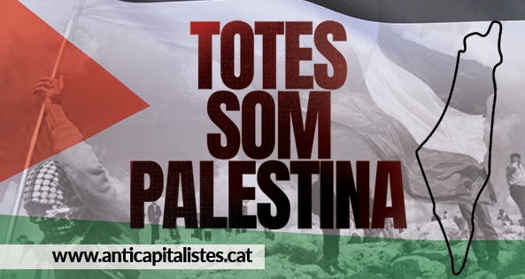 Anticapitalistas crida a mobilitzar-se en solidaritat amb el poble palestí