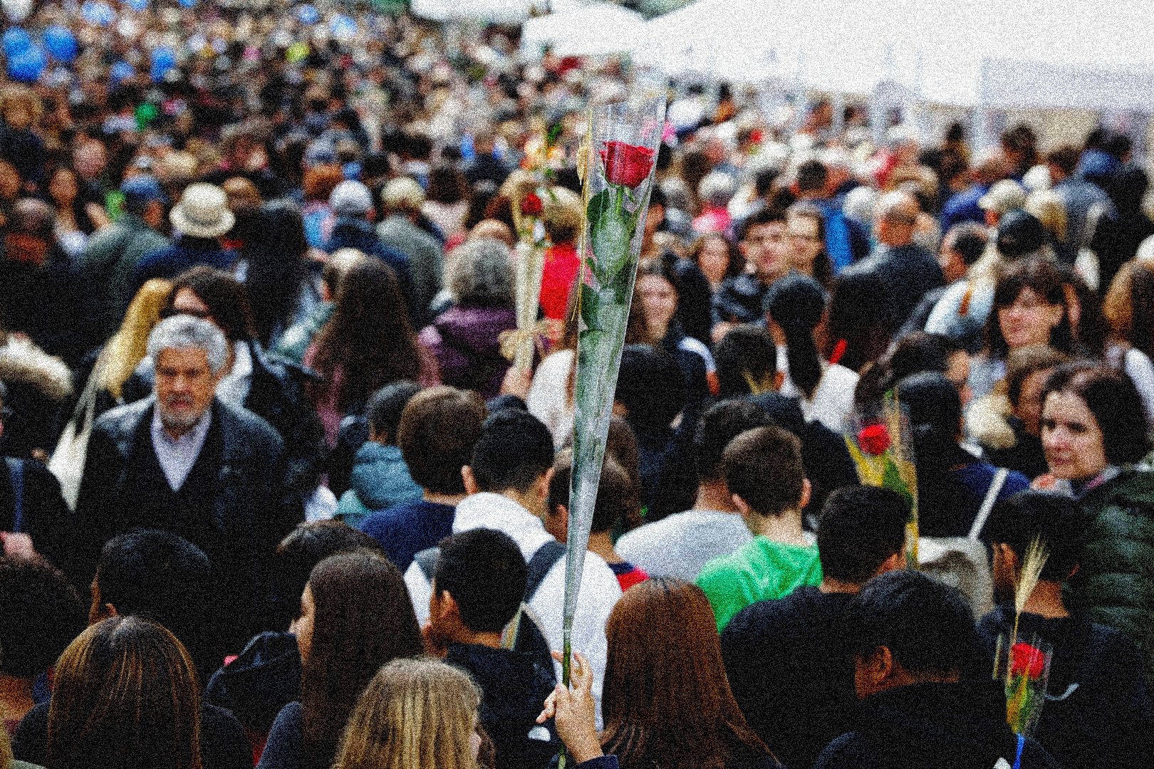 Sant Jordi 2026 | Per una defensa popular de la llengua